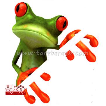 استیکر (برچسب) خودرو قورباغه طرح 1 استیکر (برچسب) خودرو قورباغه طرح 1