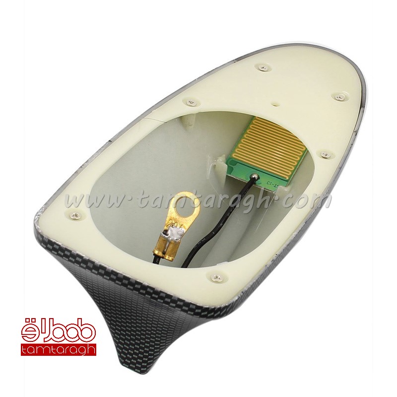 بال کوسه آنتن دار