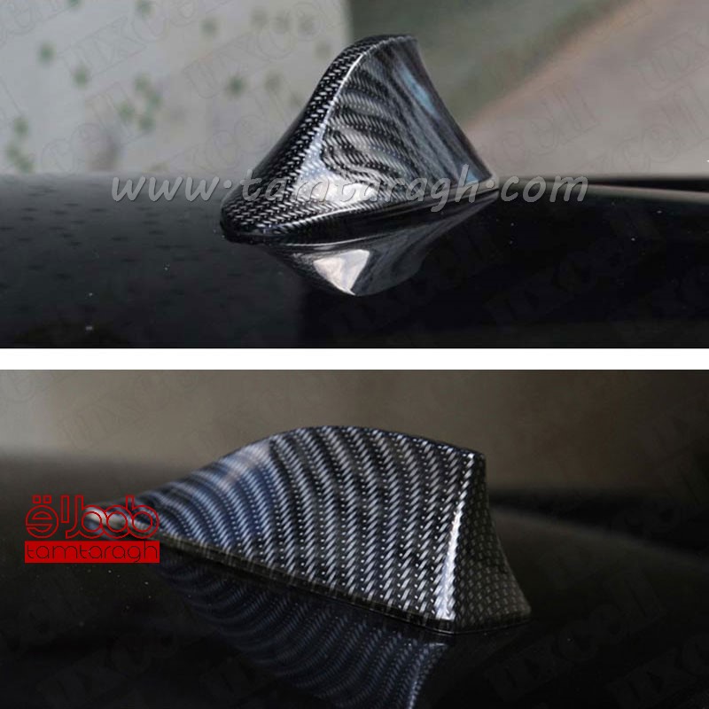 بال کوسه آنتن دار