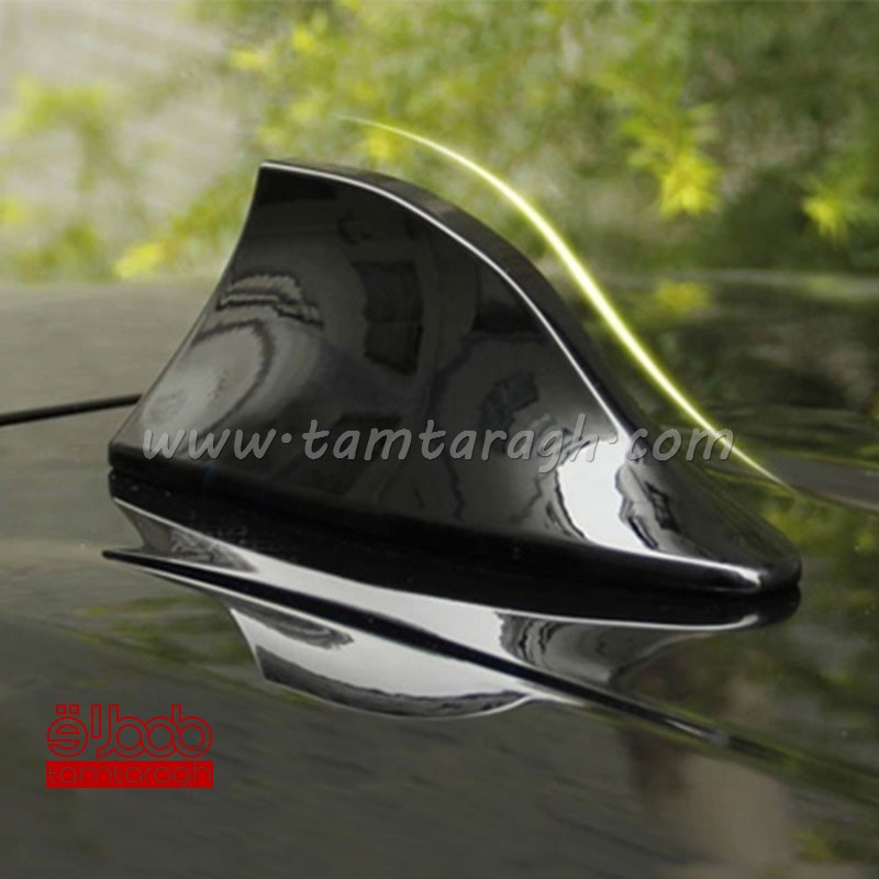 بال کوسه آنتن دار