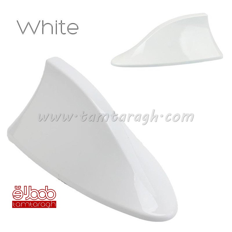 بال کوسه آنتن دار