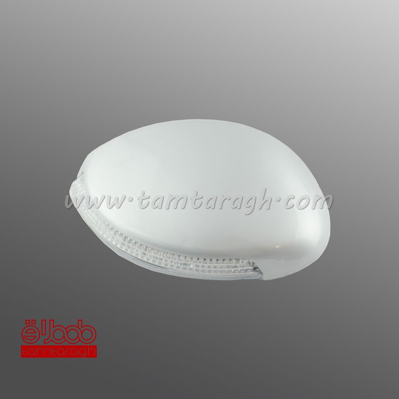 قاب آینه راهنمادار پژو 206 و 207